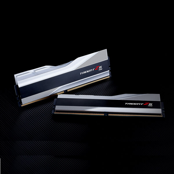G.Skill Trident Z5 RGB 32GB (16GBx2) DDR5 5200MHz RAM (Metallic Silver)